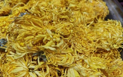 菊花是什么季节开的