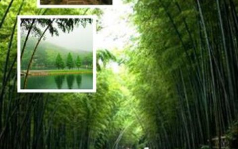 蜀南竹海自驾游攻略 探秘蜀南竹海：自驾游完美攻略