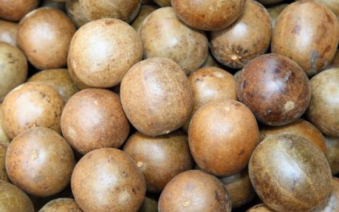 罗汉果的功效与作用及食用方法 罗汉果：营养价值、益处与食用指南