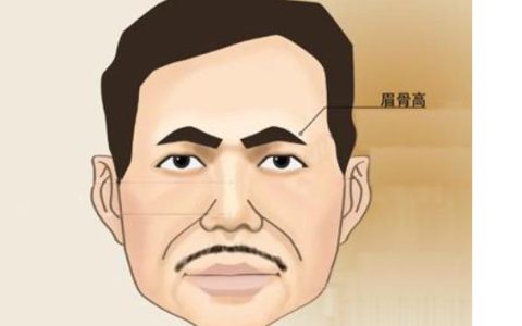 眉骨高的男人面相有什么说法 男人眉骨高代表什么