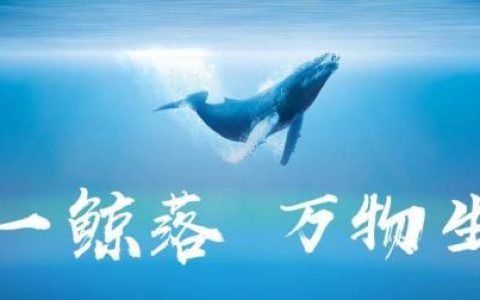 一鲸落万物生是什么意思 一鲸落万物生说明了什么哲学思想