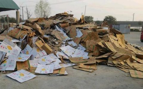 加工什么比较挣钱可回收利润高 哪些加工项目更赚钱回收利润更可观？