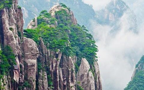 黄山风景四绝 奇松 怪石 云海 温泉