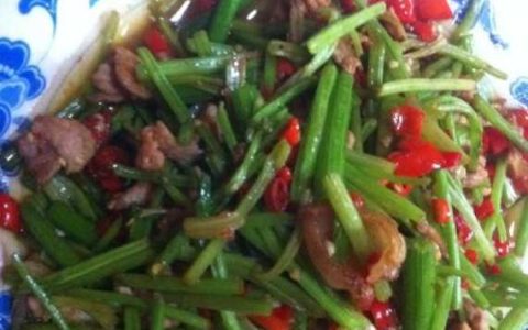 家常的芹菜炒肉做法大全 家常芹菜炒肉的简单做法合集