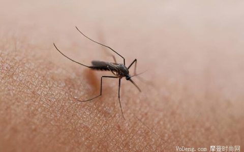 蚊子咬了怎么消肿止痒最快，5个方法消肿止痒(红肿特别大涂药)