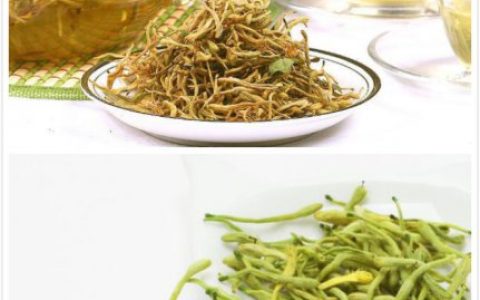 详解金银花茶的做法 味道更浓郁