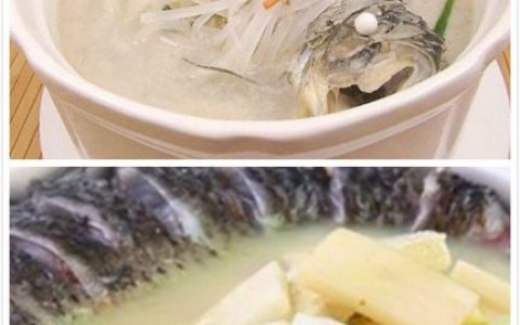 秋季养生汤做法大全 清热润肺养生最佳