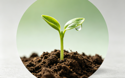 吃什么排便立马见效？便秘吃什么效果最快？被便秘者忽视的快速排便神器