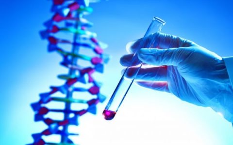 母亲dna和儿子dna一样不？99.99%的人搞错了【母亲DNA🧬和儿子DNA🧬一样吗】