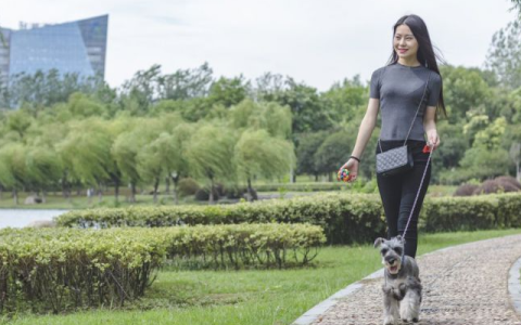经常散步到底好不好 散步时要注意什么
