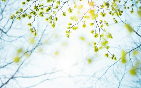 小满要满是什么意思，这个名字背后藏着老祖宗的智慧【小满是什么呀】