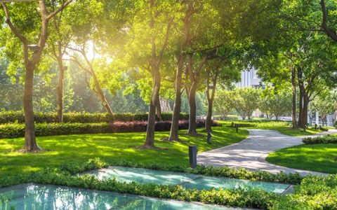 芒种是什么时候？农历日期固定不变吗【芒种是什么时候的歌】