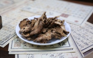 苍术的功效与作用，祛湿健脾的一把好手
