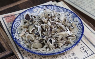 辛夷的3个功效与作用，阴虚火旺的人不适合用
