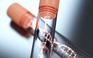 日本母亲与儿子的DNA是一样的吗？遗传学视角下的解读！