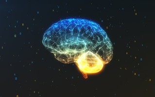 大脑供血不足头晕怎么办，及时调理缓解不适