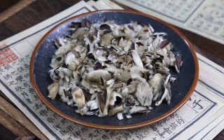 辛夷的功效与作用，鼻塞流涕的人可以了解一下