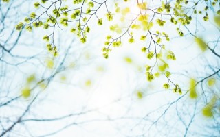 春季如何养身体，抓住季节特点做好养护