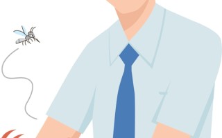 冬天咬人的蚊子已经出现了，这种蚊子已彻底抛弃了冬眠习性！