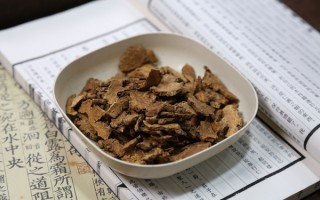 苍术的4个功效与作用，阴虚内热的人要避开