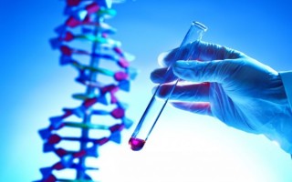 母亲与儿子能做亲子鉴定吗？科学解析亲子关系！